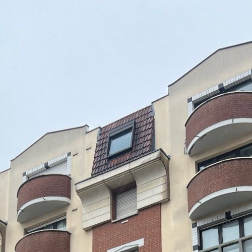 changement velux