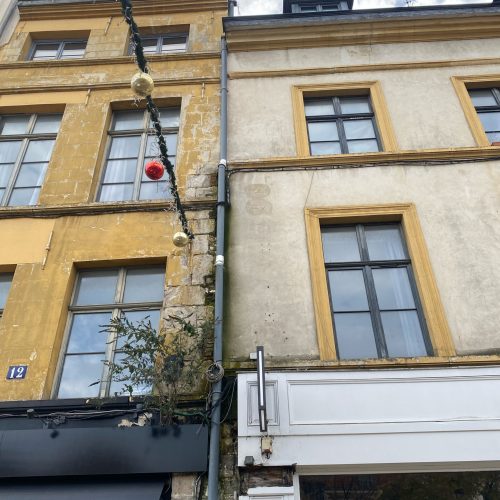 rénovation descente d'eau
