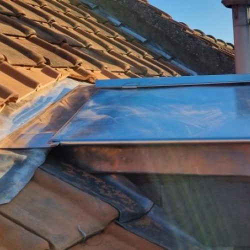 chien assis zinc inter cheminee toiture nord.....