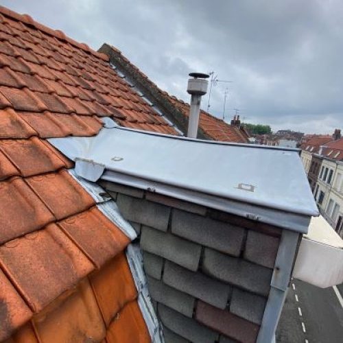 chien assis zinc inter cheminee toiture nord.....