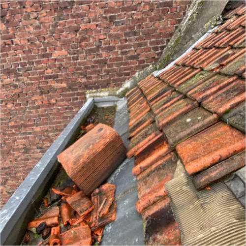 remaniage tuile ICTOITURE0015