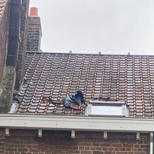 remaniage tuile ICTOITURE0015