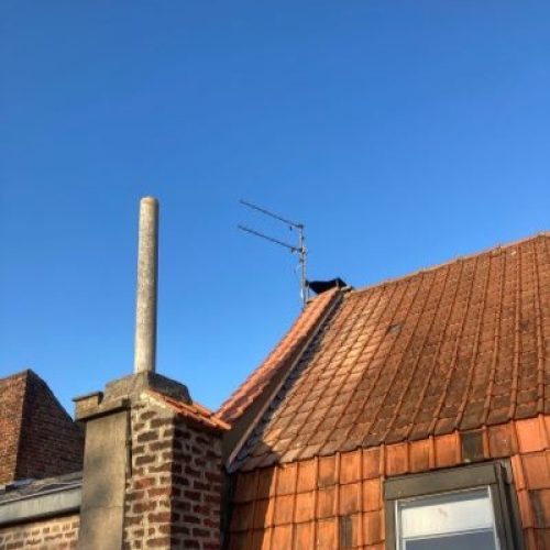 Wimbergue inter cheminee toiture nord.